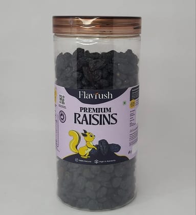 Flavrush Premium Seedless Black Raisins - 500g Jar