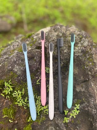 Wheat Straw Toothbrush