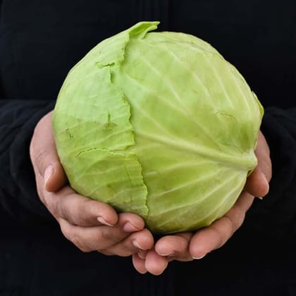 Green Cabbage-1 Kg