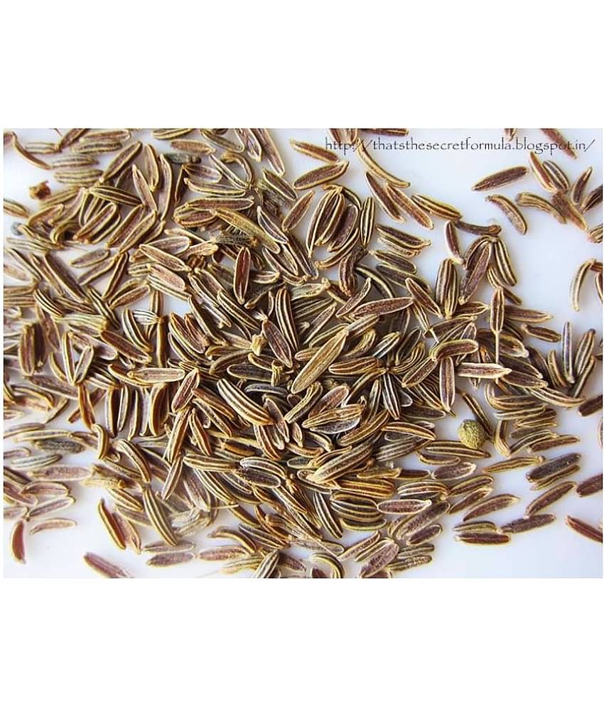 UPPAL SONS - 200 gm Shahjeera (Black Cumin Seeds) (Pack of 1)