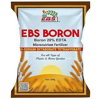 EBS Boron 20 Micronutrient Fertilizer for Healthy Growth of Vegetable Plants and Gardening (500 gm) Powder