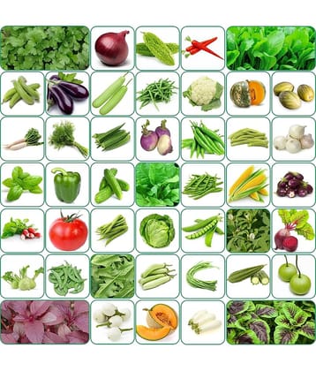 Aero Seeds 45 variety vegetable seeds combo pack with instruction manual.