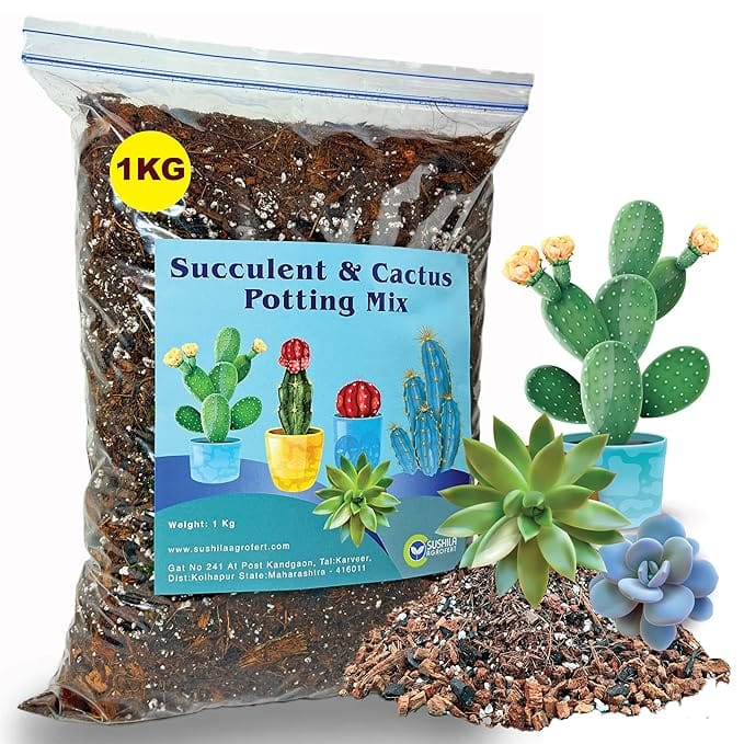 Sushila Agrofert's Succulent and Cactus Potting Mix, Ready to Use Succulent and Cactus Mixture Nutreint Enriched Pack Of 2
