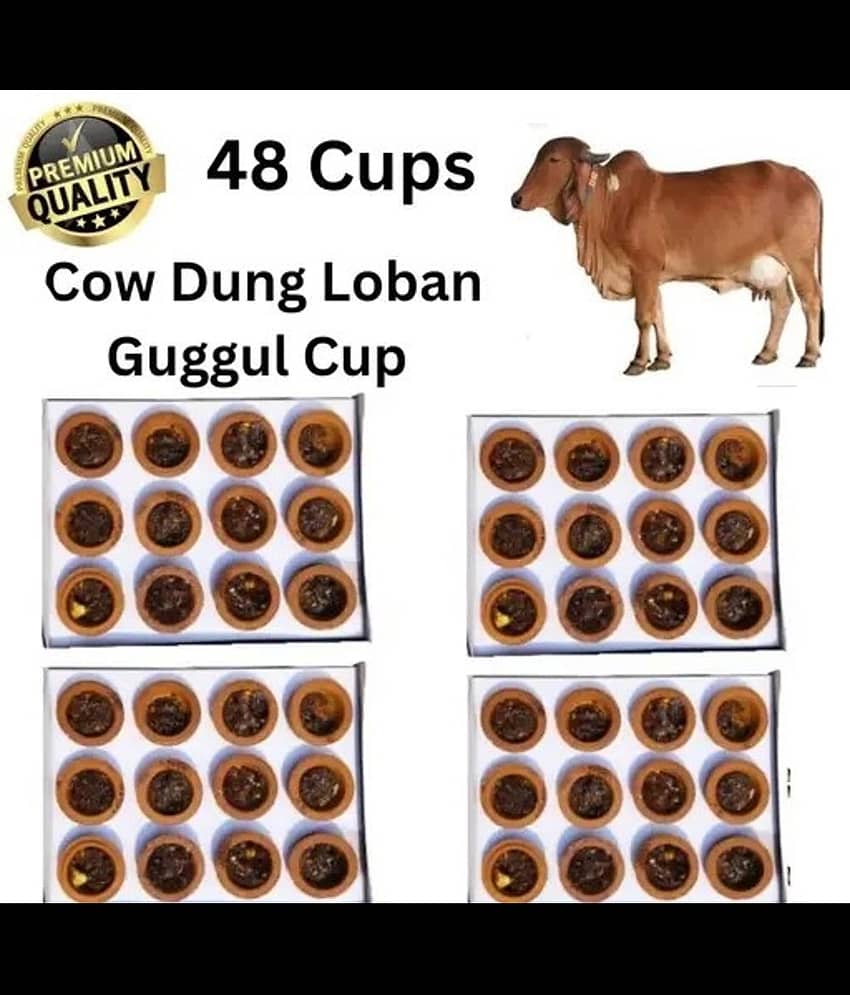 PICKARTME Havan Cups Guggal 48 Pieces ( Pack of 4 )