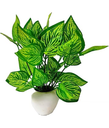 Green plant indoor Artificial Money Plant Bonsai Green Bonsai Plastic - Pack of 1