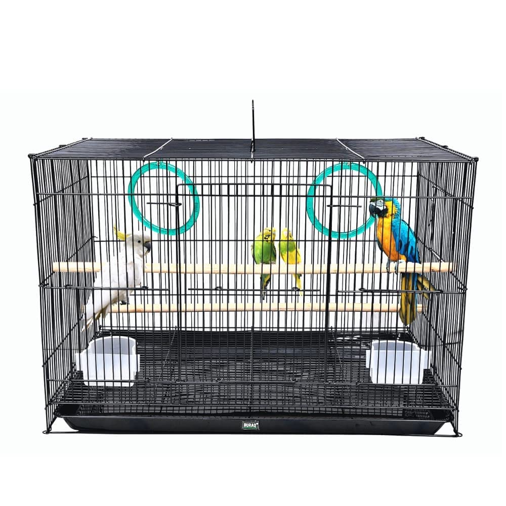 Bird Cage with Accessories & Hammock – Ideal for Lovebirds, Parrots, Parakeets, Budgies & Cockatiels-18 Inch