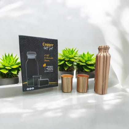 Copper Bottle & Set of 2 Glasses