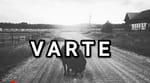 Varte