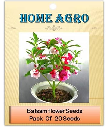 homeagro - Balsam Mixed Flower ( 20 Seeds )