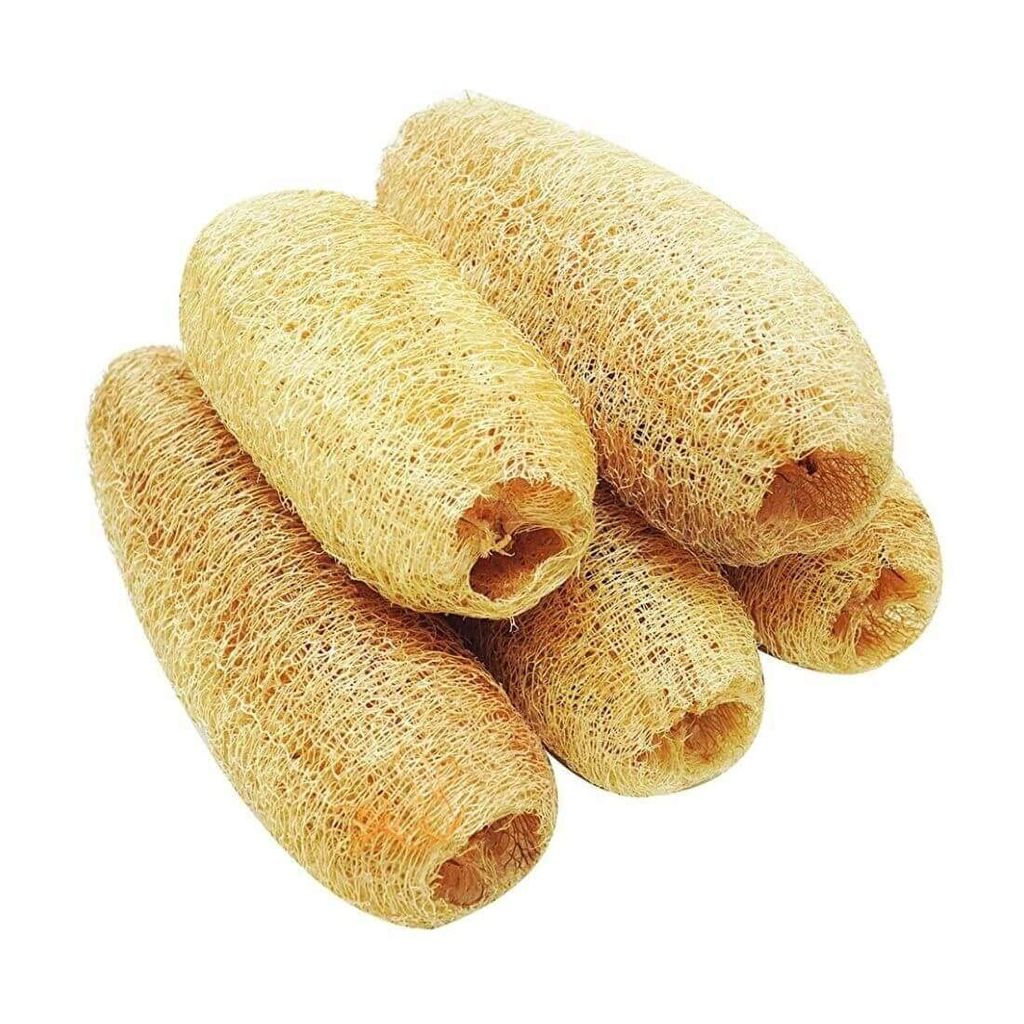 MAYAPURI Natural Organic Loofah Body Scrubbers for Bathing, Size 10cm to 15cm (Pack of 5) - Pooja Needs | Buy online on ZillyBuy
