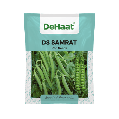 DS SAMRAT DEHAAT PEA SEEDS