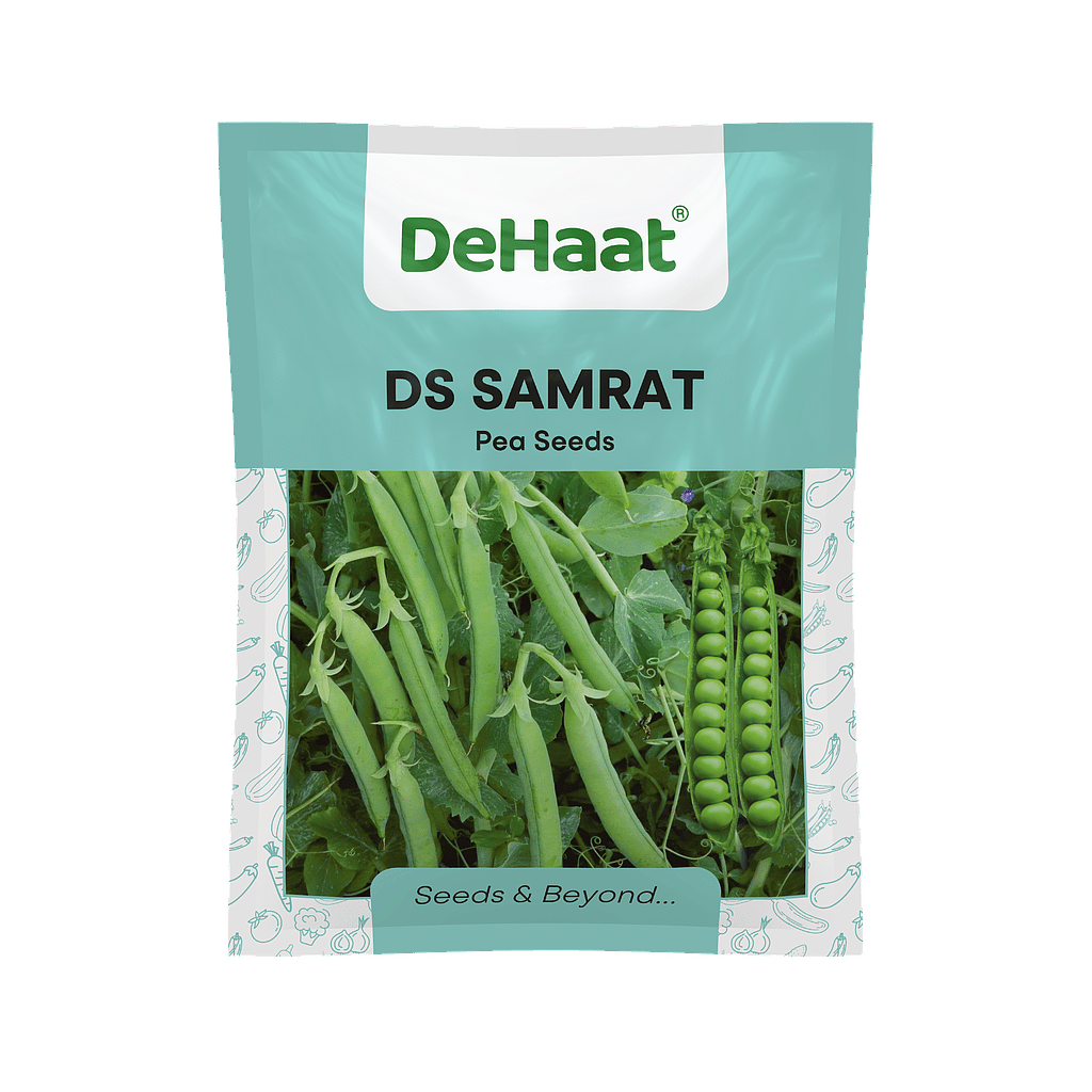 DS SAMRAT DEHAAT PEA SEEDS