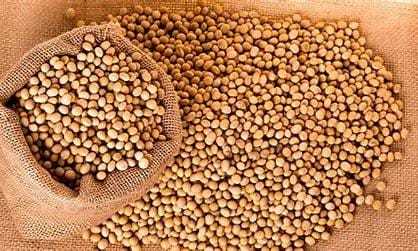 INDURATNA SOYABEAN ATTA 500GM