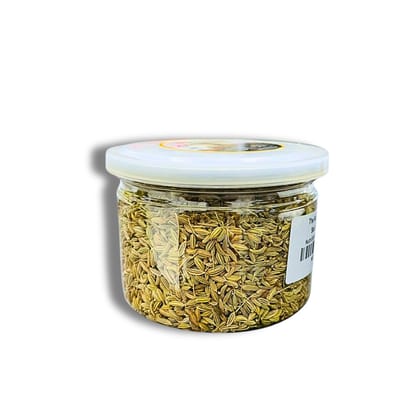 NutriEarth Saunf (Fennel Seeds) 100 Gms