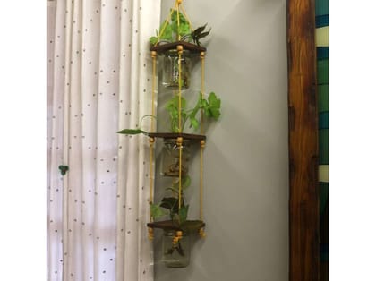 BARISH - Set of 3 Hanging Glass Jar Planters | Hanging 3 Jar Planter Handcrafted with Rubberwood | Hanging Glass Planters for Indoor and Outdoor - Walnut