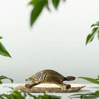 Golden Feng Shui Tortoise Showpiece