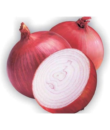 Indous Agriseeds Indo Us Roal Red Onion Seed (500 per packet)