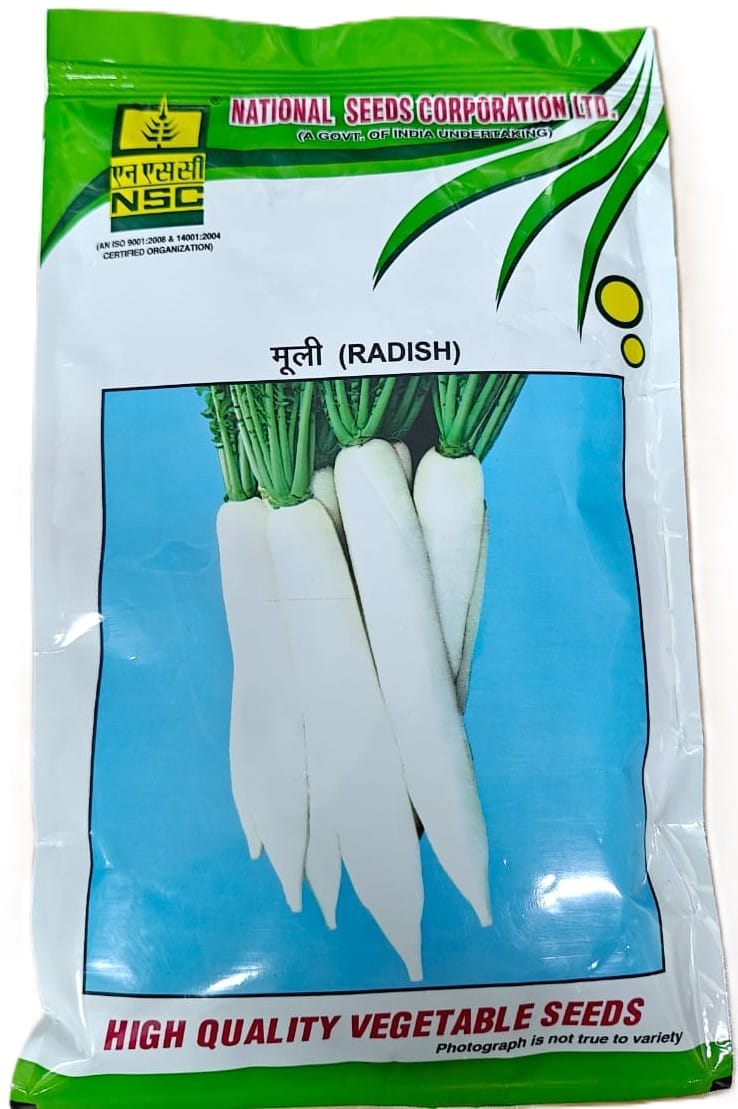 NSC Radish Pusa Chetaki Seed -250 gram