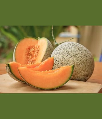 Musk Melon Golden Orange Flesh, Muskmelon Seeds, 30 Kharbuja Seeds