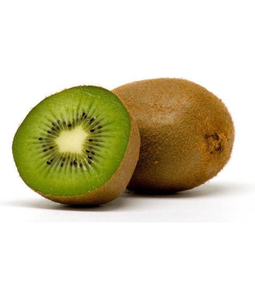 Nema Kiwi Fruit Seeds - 40 Seeds
