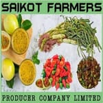 SAIKOT FARMERS PRODUCER COMPANY LIMITED
