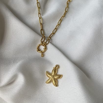 Starfish-Stainless Steel