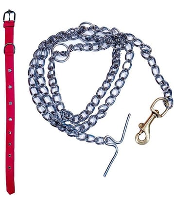 Tame Love Premium quality imported stone stud fancy Collar leash for giant dogs (1.25 inches) available in Pink color and Brass Hook Stainless Steel Leash for dog (152 cm)