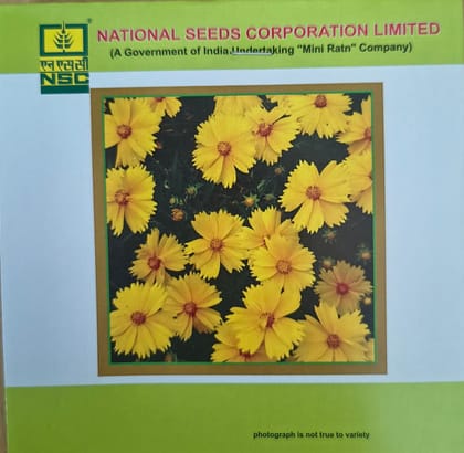 NSC Coreopsis Flower Seed -1 gram