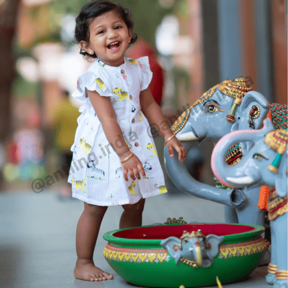 Muslin Frock - Baby Animals-3-6 months
