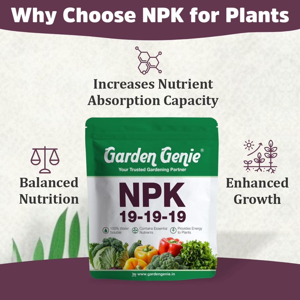 Garden Genie Npk 19 19 19 Fertilizer For Plants 800g I 100% Water Soluble I Complete Plant Food For Gardening, Growth Boost and Flowering, Powder