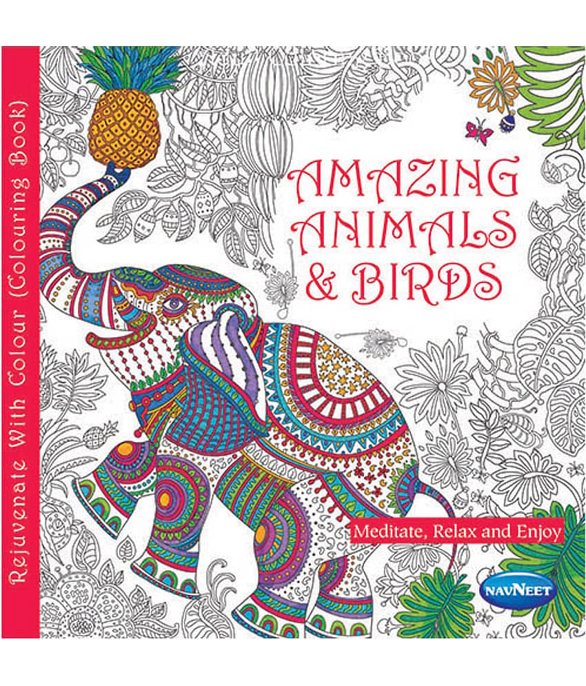 Navneet Adult Colouring - Book 1