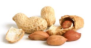 In-Shell Roasted Peanuts, Chhilke Wali Bhuni Moongfali, Groundnuts in Shell, Roasted Groundnuts, Winter Bhuni Moongfali 700gm