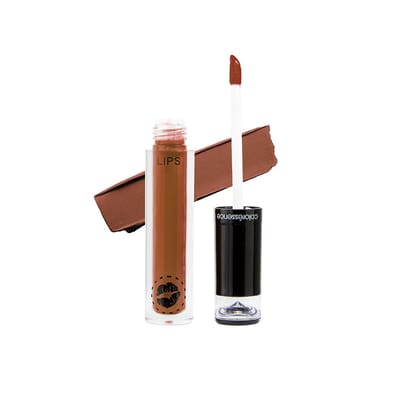 Lipstay Transfer Proof Liquid Lipstick-Vintage Rust LTP 6
