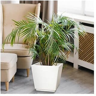 De Gardenia Pots and PlantersSize of GK 12 14 16 InchPack of 3 Pots for Plants Highly Durable Polymers Lightweight Indoor Outdoor Plant Pots (18 Inch(GK18) White)