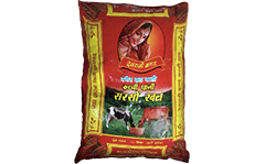 DEVRANI BRAND SARSON KHAL