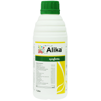 ALIKA