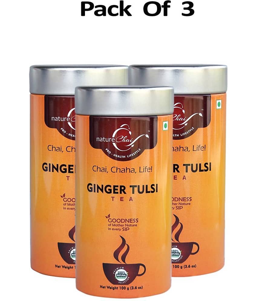 nature Chai Ginger Tulsi Tea Loose Leaf 100 gm Pack of 3