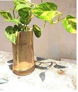 Wall Hanging Pot Planter, Bamboo POTS for Wall Hanging Planter