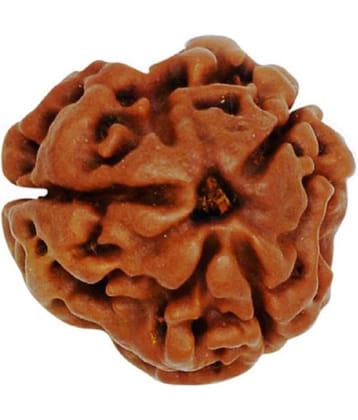 NIVARAN - 3 Mukhi Rudraksha Pendant With Thread ( Pack of 1 )