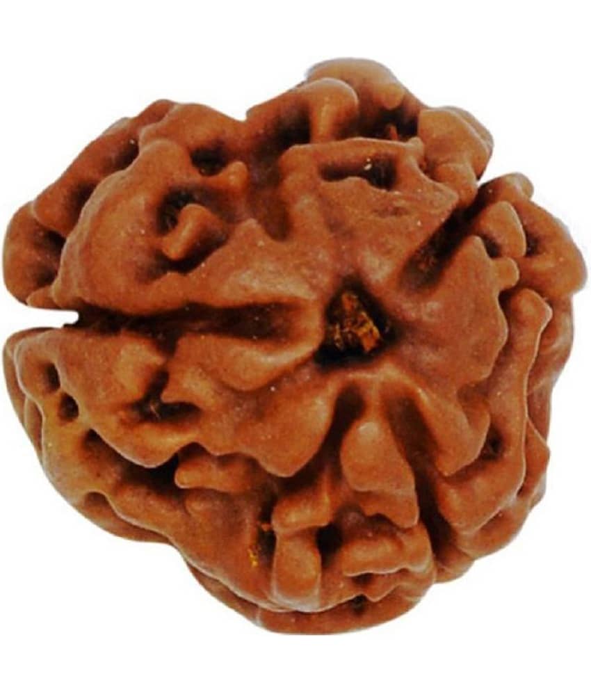 NIVARAN - 3 Mukhi Rudraksha Pendant With Thread ( Pack of 1 )