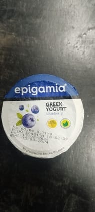 Epigamia Greek Yogurt Blueberry 
