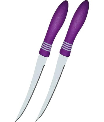 KTU Assorted Stainless Steel Utility Knife Blade Length 12 cm ( Pack of 2 )