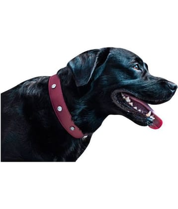 Tame Love - Red Dog Collar (Small)