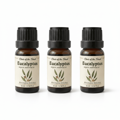 Elixir of the Forest Eucalyptus Oil | 30 ml (10 ml x 3) | Combo Set | Home Care & Inhalation