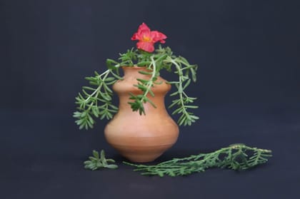 Flower Pot