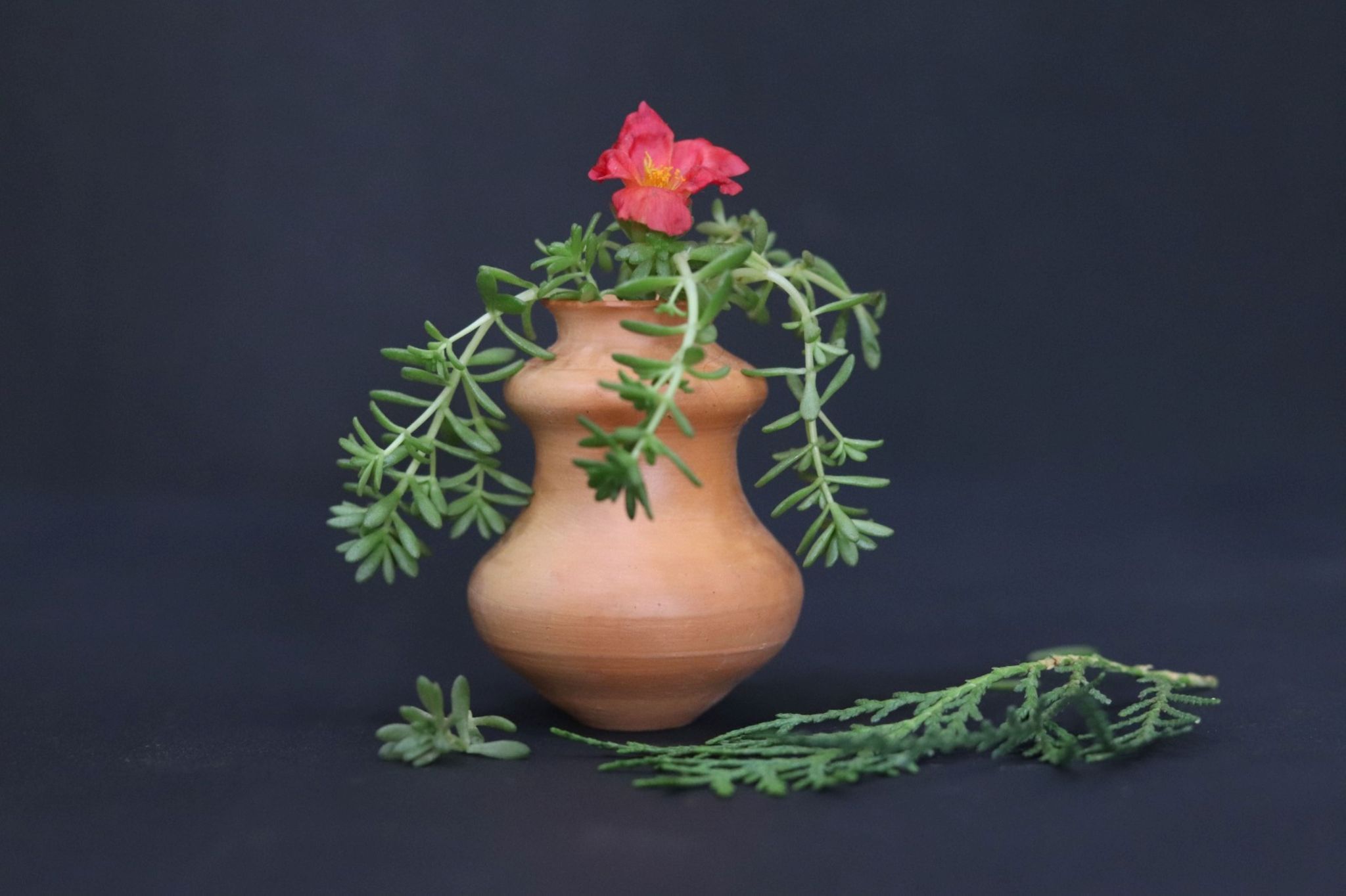 Flower Pot