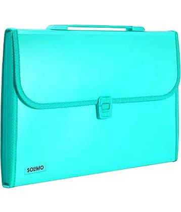 SHB Green Expandable File ( Pack of 1 )