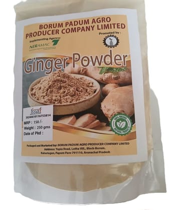 Ginger Powder - 250 gm