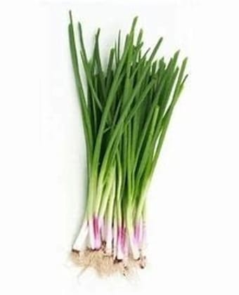 Spring Onion - Hara Pyaaz  1 Bunch