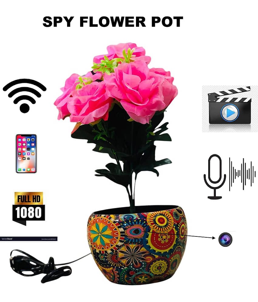 Vizio VIZIO SPY FLOWER POT Wi-Fi Others 1080 Camera